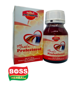 Madu Kolestrol Prolesterol